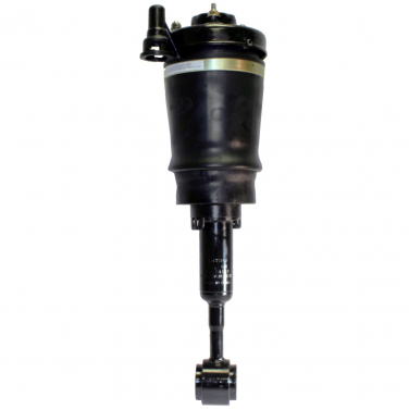    Air Suspension Strut WS AS-7314